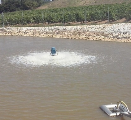 AIREACION PROLONGADA EN BODEGAS ASTER